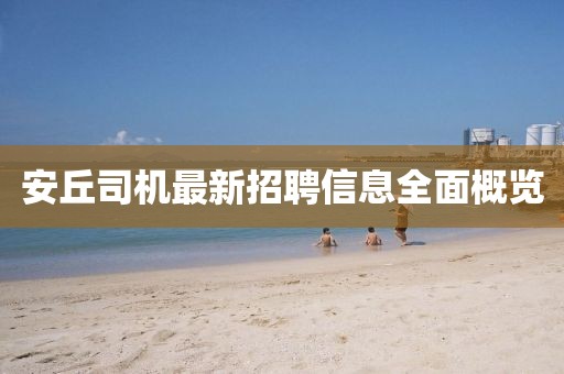 安丘司机最新招聘信息全面概览