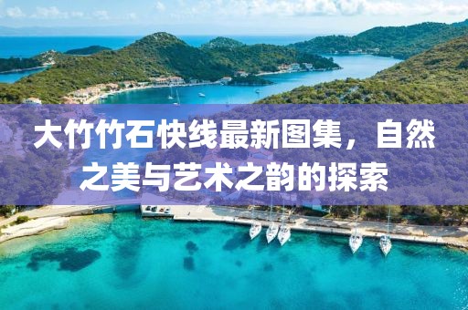 大竹竹石快线最新图集，自然之美与艺术之韵的探索