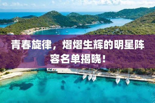 青春旋律，熠熠生辉的明星阵容名单揭晓！