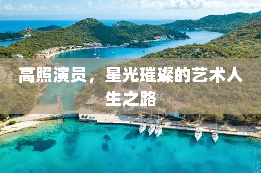 高照演员，星光璀璨的艺术人生之路