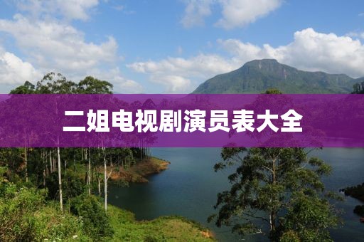 二姐电视剧演员表大全