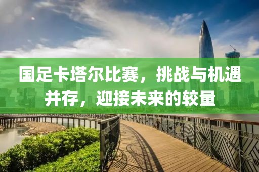 国足卡塔尔比赛，挑战与机遇并存，迎接未来的较量