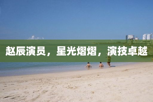 赵辰演员，星光熠熠，演技卓越