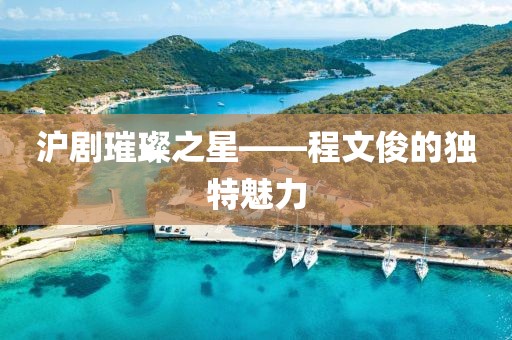 沪剧璀璨之星——程文俊的独特魅力