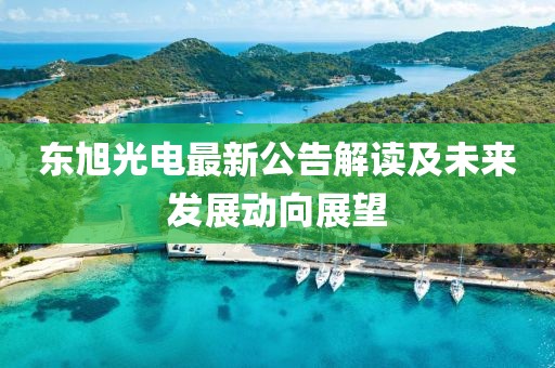 东旭光电最新公告解读及未来发展动向展望