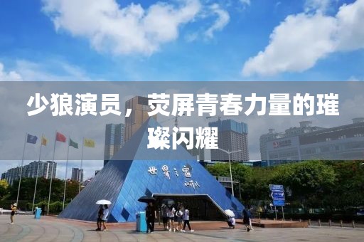 少狼演员，荧屏青春力量的璀璨闪耀
