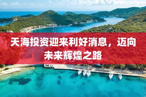 天海投资迎来利好消息，迈向未来辉煌之路