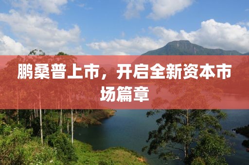 鹏桑普上市，开启全新资本市场篇章