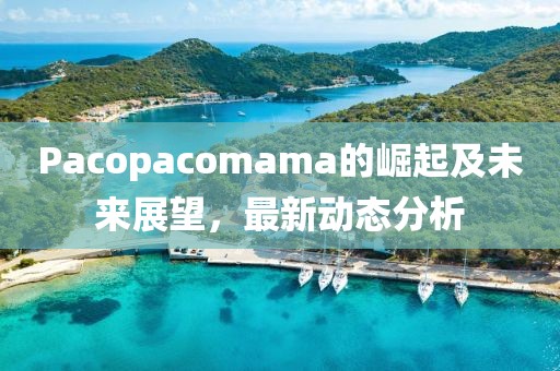 Pacopacomama的崛起及未来展望，最新动态分析
