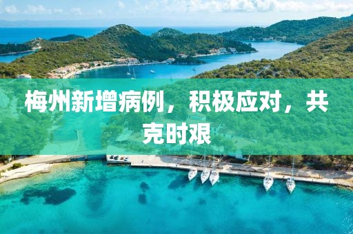 梅州新增病例，积极应对，共克时艰