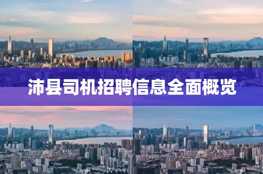 沛县司机招聘信息全面概览