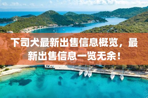 下司犬最新出售信息概览，最新出售信息一览无余！