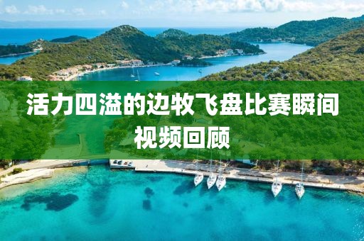 活力四溢的边牧飞盘比赛瞬间视频回顾