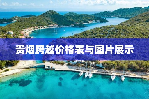 贵烟跨越价格表与图片展示