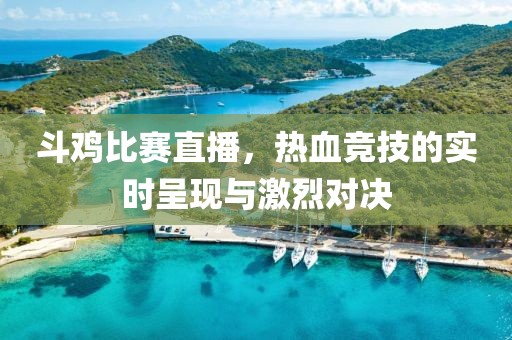 斗鸡比赛直播，热血竞技的实时呈现与激烈对决