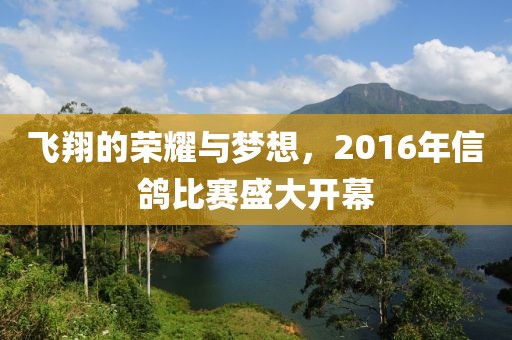 飞翔的荣耀与梦想，2016年信鸽比赛盛大开幕
