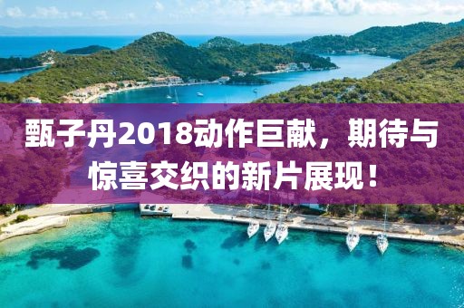 甄子丹2018动作巨献，期待与惊喜交织的新片展现！