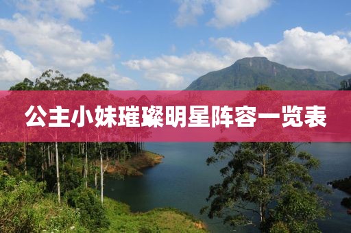 公主小妹璀璨明星阵容一览表