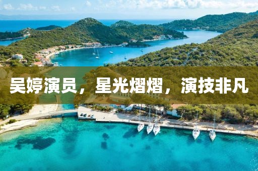 吴婷演员，星光熠熠，演技非凡