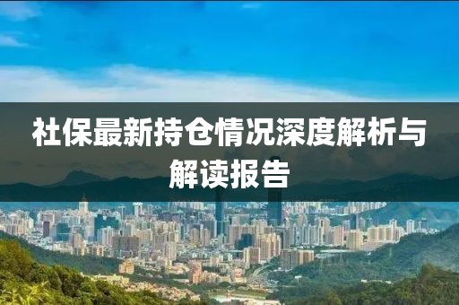 社保最新持仓情况深度解析与解读报告