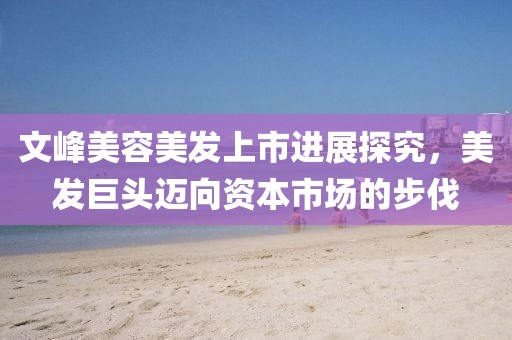 文峰美容美发上市进展探究，美发巨头迈向资本市场的步伐