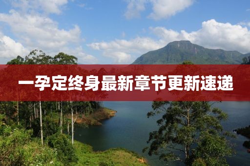 一孕定终身最新章节更新速递