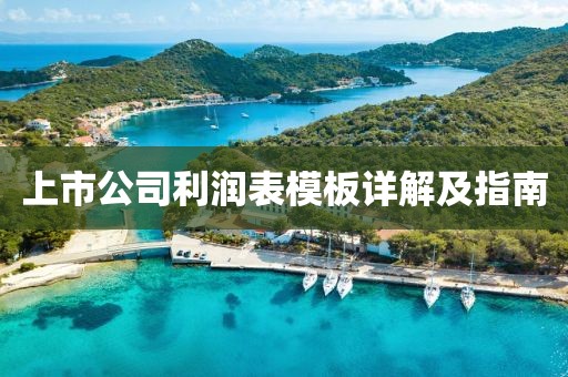 上市公司利润表模板详解及指南