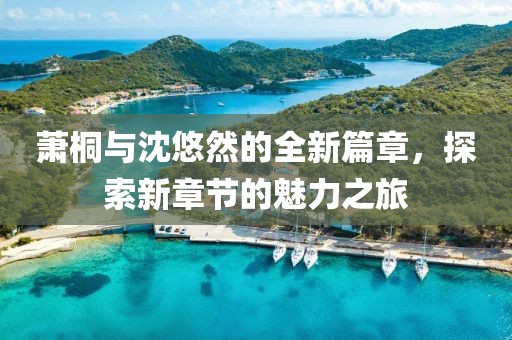 萧桐与沈悠然的全新篇章，探索新章节的魅力之旅