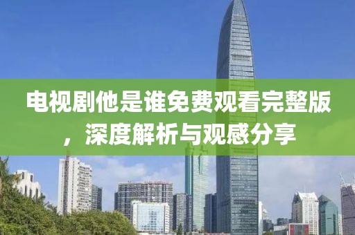 电视剧他是谁免费观看完整版，深度解析与观感分享