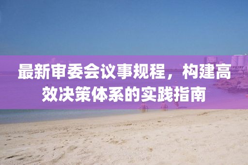 最新审委会议事规程，构建高效决策体系的实践指南