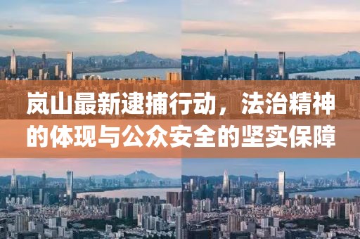 岚山最新逮捕行动，法治精神的体现与公众安全的坚实保障