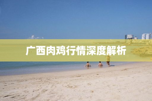 广西肉鸡行情深度解析