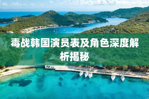 毒战韩国演员表及角色深度解析揭秘