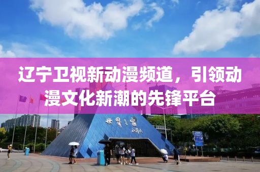 辽宁卫视新动漫频道，引领动漫文化新潮的先锋平台