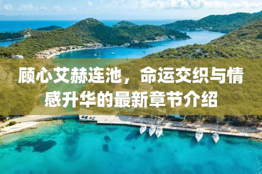顾心艾赫连池，命运交织与情感升华的最新章节介绍