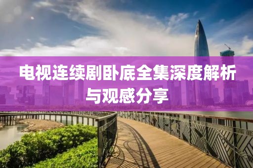 电视连续剧卧底全集深度解析与观感分享