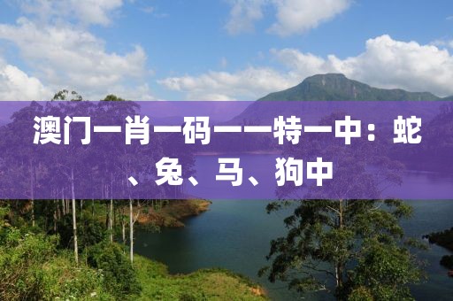 澳门一肖一码一一特一中：蛇、兔、马、狗中