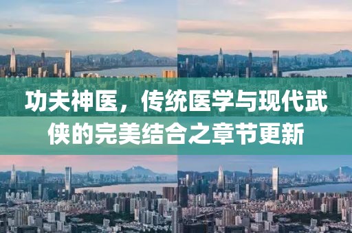 功夫神医，传统医学与现代武侠的完美结合之章节更新