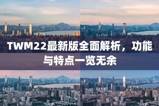 TWM22最新版全面解析，功能与特点一览无余