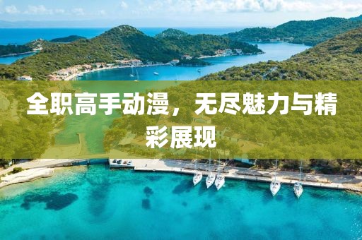 全职高手动漫，无尽魅力与精彩展现