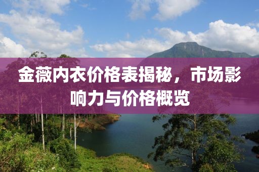 金薇内衣价格表揭秘，市场影响力与价格概览