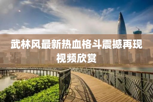 武林风最新热血格斗震撼再现视频欣赏