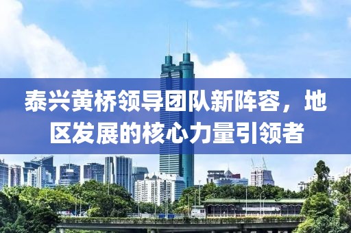 泰兴黄桥领导团队新阵容,地区发展的核心力量引领者