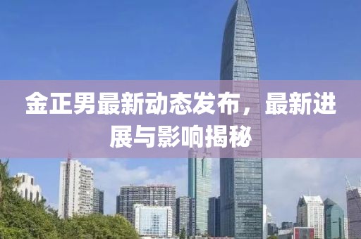 金正男最新动态发布,最新进展与影响揭秘