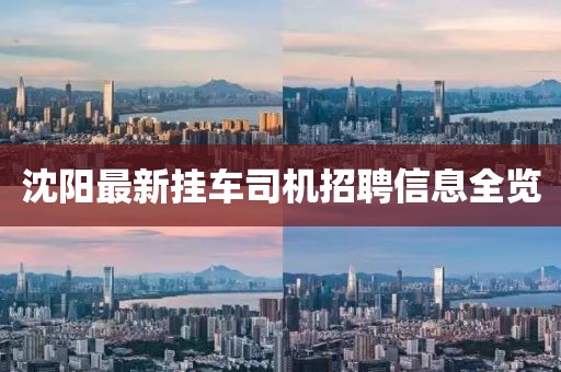 沈阳最新挂车司机招聘信息全览