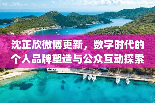 沈正欣微博更新,数字时代的个人品牌塑造与公众互动探索