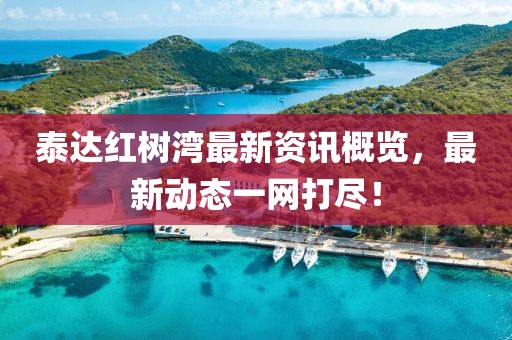 泰达红树湾最新资讯概览，最新动态一网打尽！