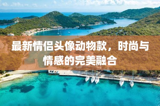 最新情侣头像动物款，时尚与情感的完美融合