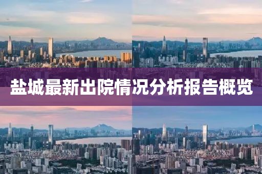 盐城最新出院情况分析报告概览