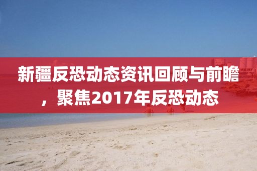 新疆反恐动态资讯回顾与前瞻,聚焦2017年反恐动态
